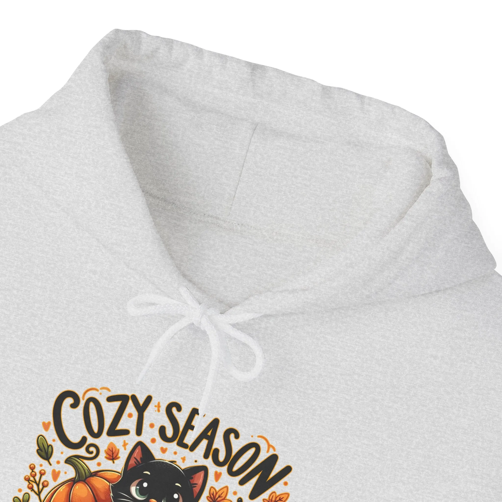 Cozy Season Unisex Heavy Blend™ Hooded Sweatshirt