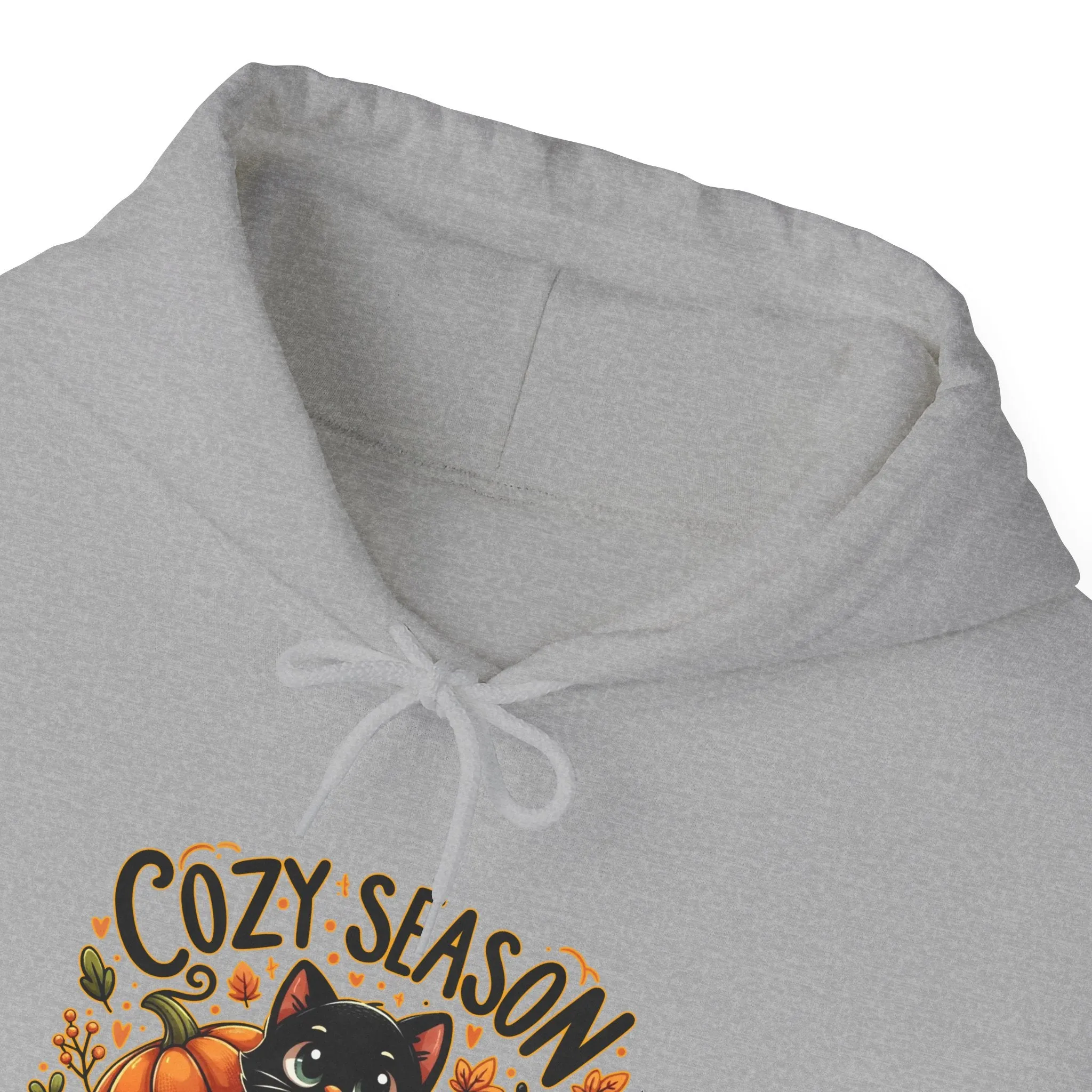 Cozy Season Unisex Heavy Blend™ Hooded Sweatshirt