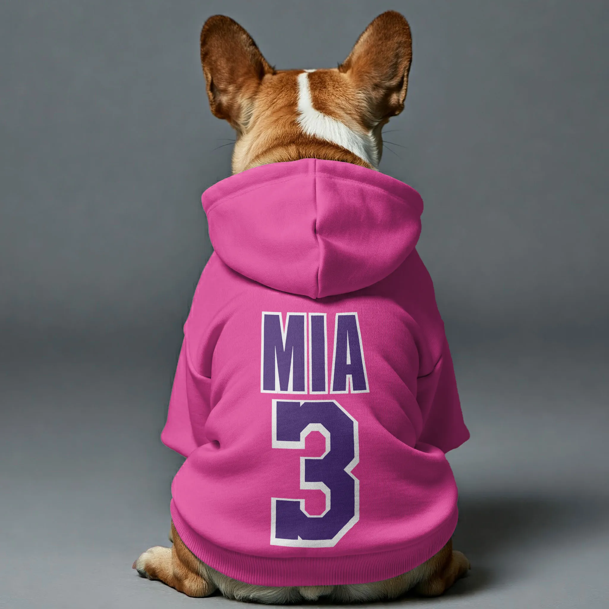 Personalized French Bulldog Hoodies with Custom Name and Number – Stylish, Cozy, and Premium 100% Cotton