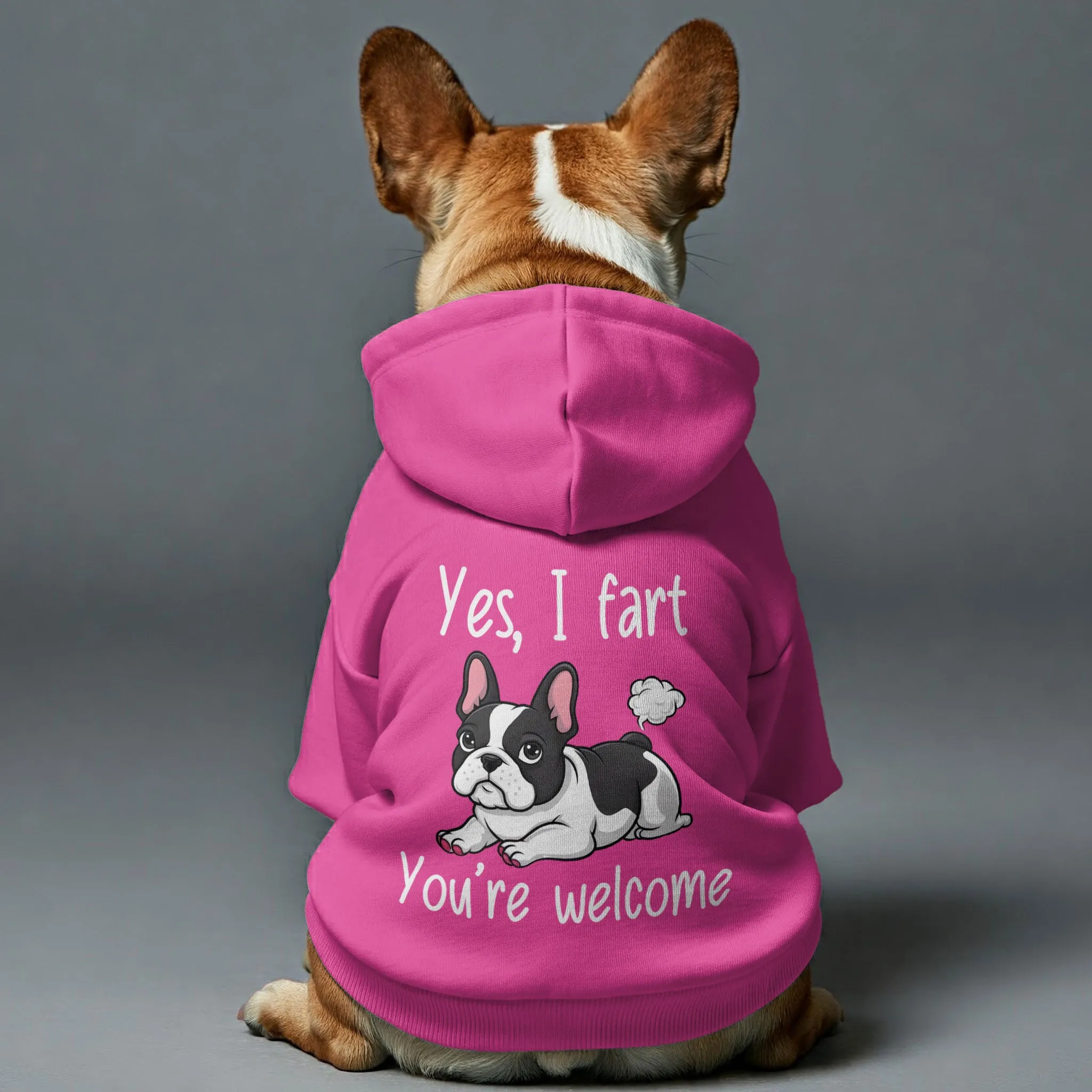 Yes, I fart. You’re welcome - Personalized French Bulldog Hoodies with Funny Quotes – Stylish, Cozy, and Premium 100% Cotton